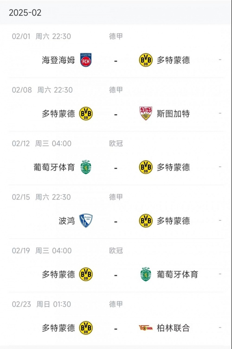  多特2月賽程：2月8日對陣斯圖加特，2月12日、19日先客后主戰(zhàn)葡體